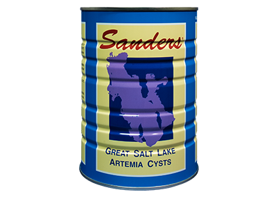 SANDERS