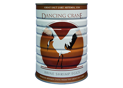 DANCING CRANE