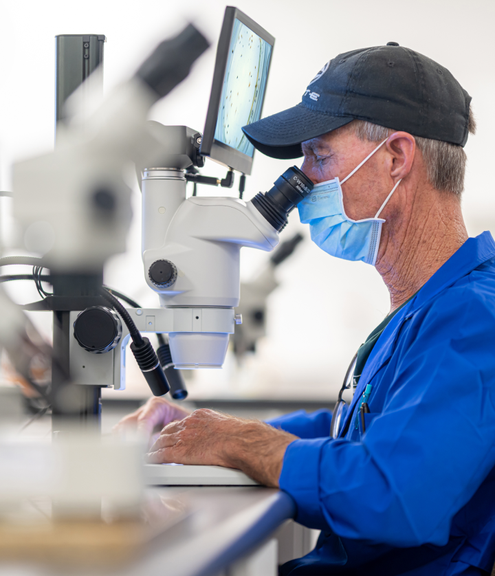 scientist looking in microscope