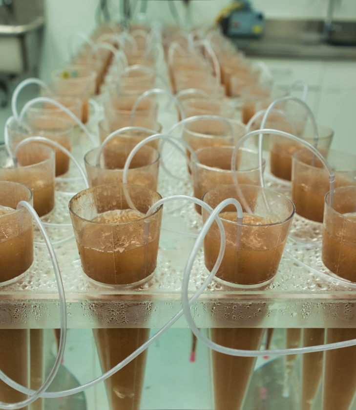 shrimp hatchery beakers in lab